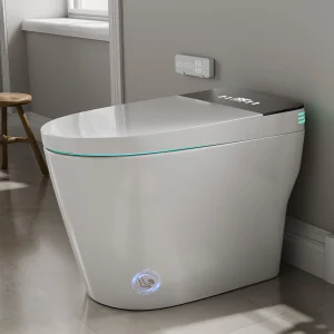 Smart Toilet with Built-in Bidet, AUTO Open/Close, Warm Water Sprayer, AUTO Dual Flush, Heated Bidet Toilet Seat